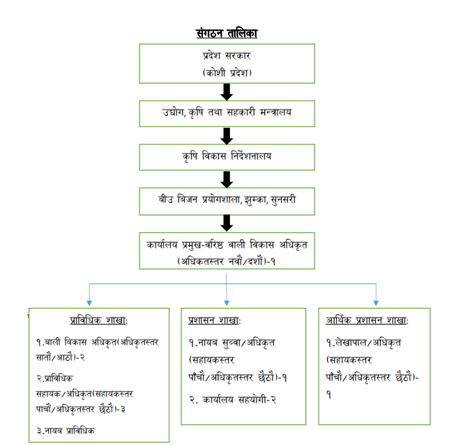 Organizational Structure of Seed Laboratory Jhumka 