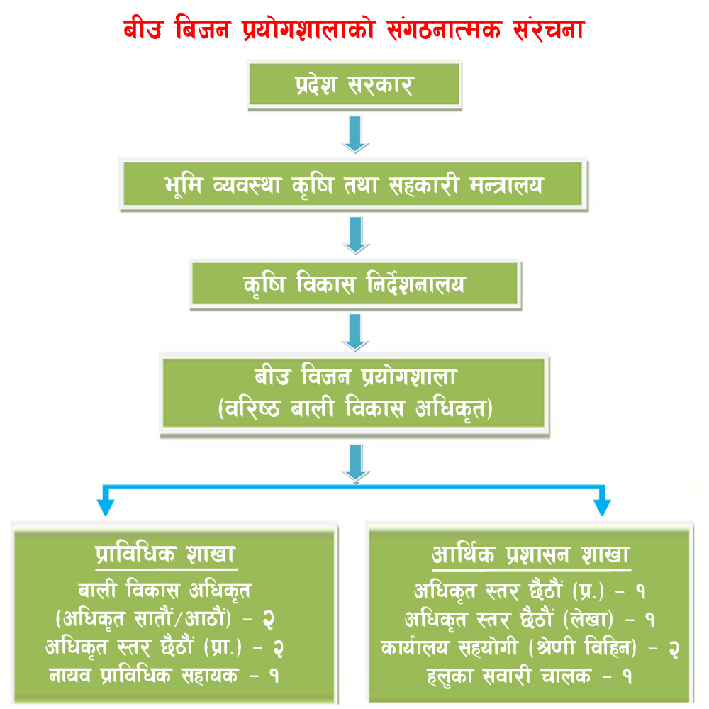 Organizational_Structure